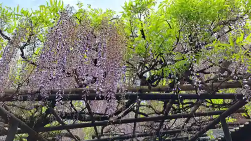 長岡天満宮(京都府)