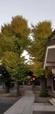 青砥神社のその他建物