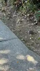 意賀美神社(大阪府)