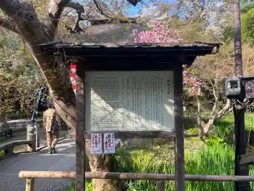 中尊寺(岩手県)