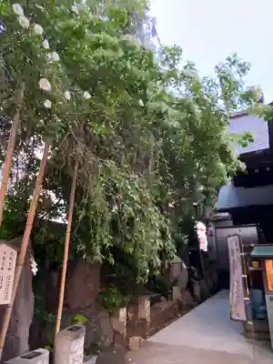 波除神社（波除稲荷神社）の{uncategorized: "未分類", other: "その他", undefined: "問題あり", building: "その他建物", grave: "お墓", sacred_gate: "鳥居", guardian: "狛犬", statue: "像", buddha: "仏像", history: "歴史", nature: "自然", garden: "庭園", animal: "動物", pagoda: "塔", temizu: "手水舎", mountain_gate: "山門・神門", sanctuary: "本殿・本堂", subordinate: "末社・摂社", art: "芸術", scenery: "景色", jizo: "地蔵", ema: "絵馬", goshuin: "御朱印", omikuji: "おみくじ", items: "授与品その他", amulet: "お守り", goshuincho: "御朱印帳", eats: "食事", festival: "お祭り", votive_dance: "神楽", shichigosan: "七五三参", wedding: "結婚式", experience: "体験その他", initially: "初詣", around: "周辺", anti_infection: "感染症対策"}