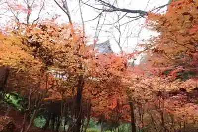 神護寺(京都府)