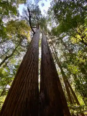 若狭彦神社（上社）(福井県)