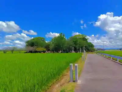 針曽根八幡社の自然