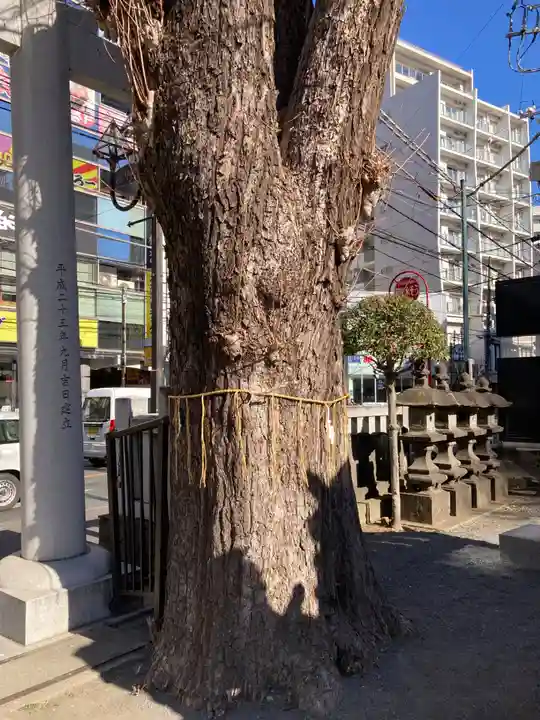 柏神社(千葉県)