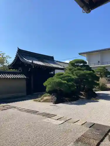 東寺（教王護国寺）(京都府)