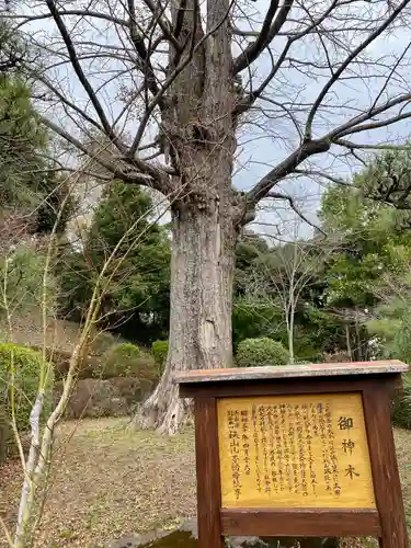 狭山山不動寺の自然