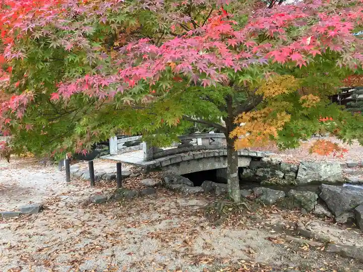 賀茂別雷神社(上賀茂神社)の自然