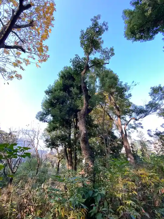 布多天神社(東京都)