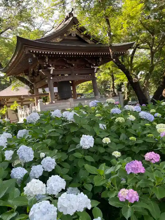妙楽寺(神奈川県)