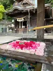 根岸八幡神社の手水