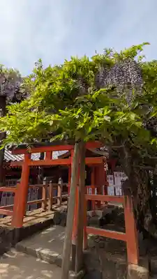 春日大社(奈良県)