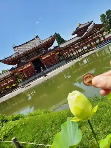 平等院の本殿・本堂