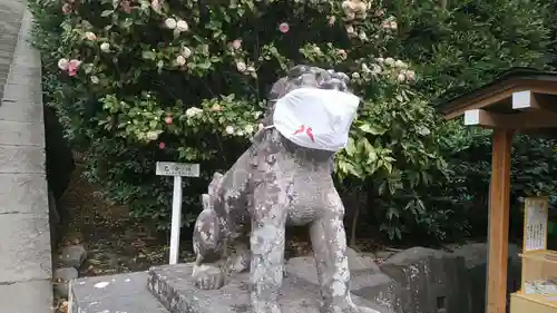 鶴岡八幡宮の狛犬