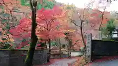 吟松寺の自然