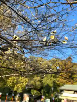 石清水八幡宮(京都府)