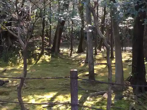 妙興報恩禅寺（妙興寺）の自然