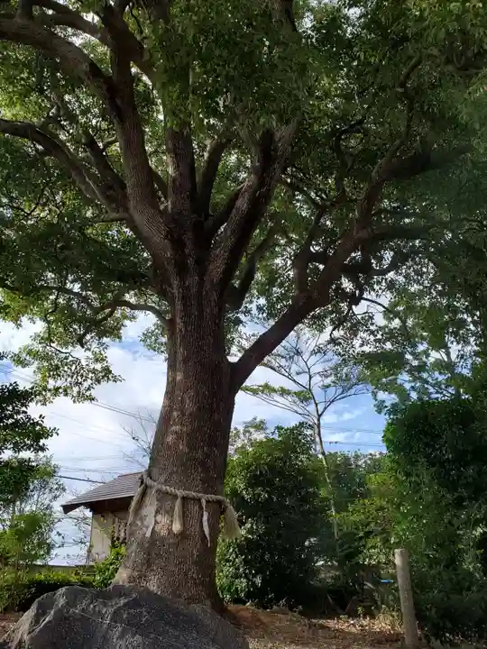 大清水神社の自然