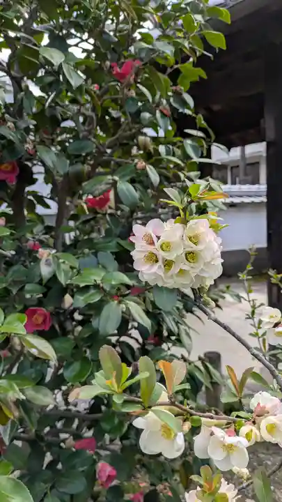 榮春禅寺(栄春寺)(京都府)