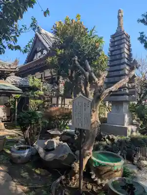 宝珠院(千葉県)