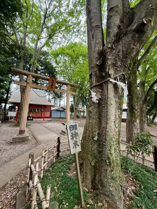橋本大鷲神社(神奈川県)