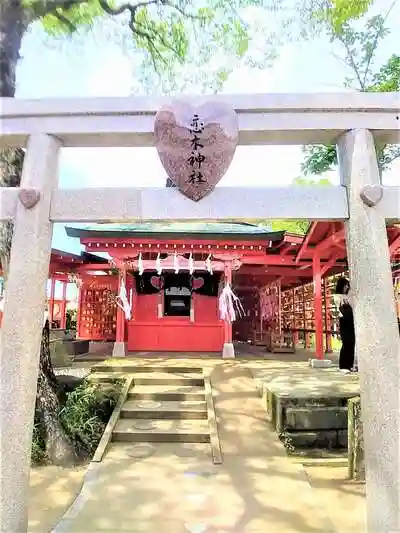 恋木神社の鳥居