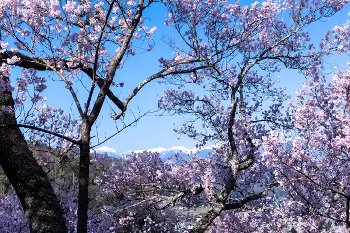 新城藤原神社(長野県)