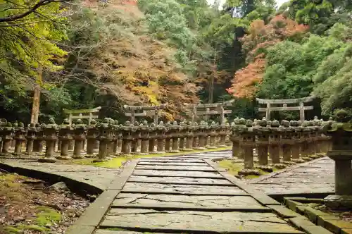 大照院(山口県)