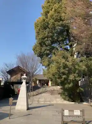 赤城神社(東京都)