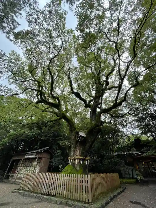 熱田神宮(愛知県)