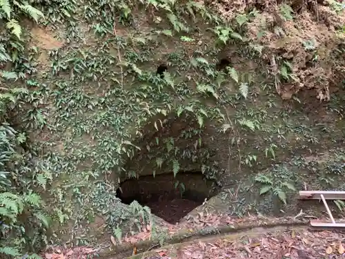 神明神社の自然