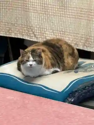 賀茂別雷神社(栃木県)