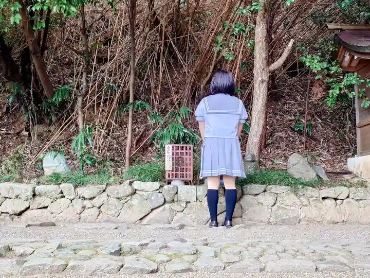 飛鳥坐神社の自然