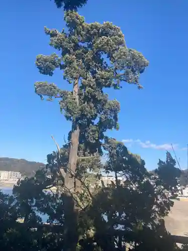 森戸大明神（森戸神社）(神奈川県)