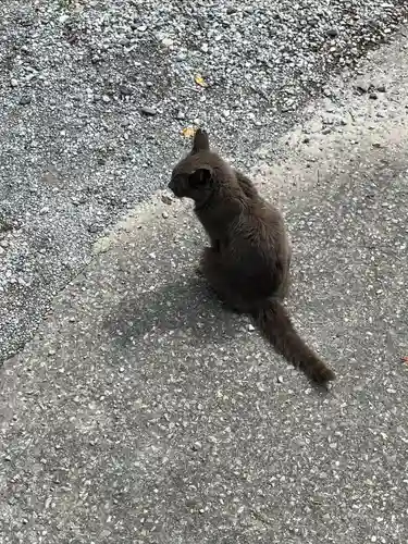 佐野赤城神社(栃木県)