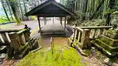 虫尾神社(福井県)