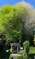 水神社(東京都)