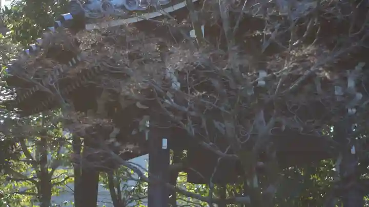 廬山寺(廬山天台講寺)(京都府)