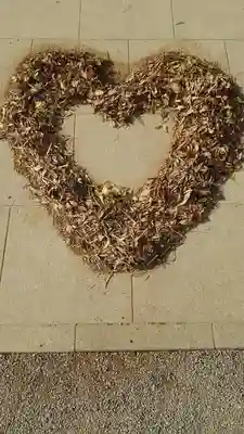 來宮神社のその他建物