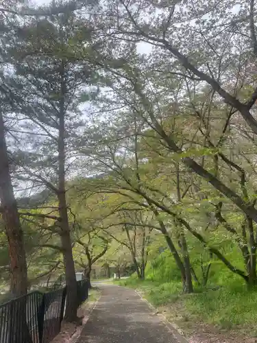 駒形嶽駒弓神社(長野県)