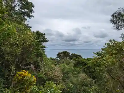 斎場御嶽の自然