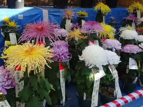 湯島天満宮の庭園