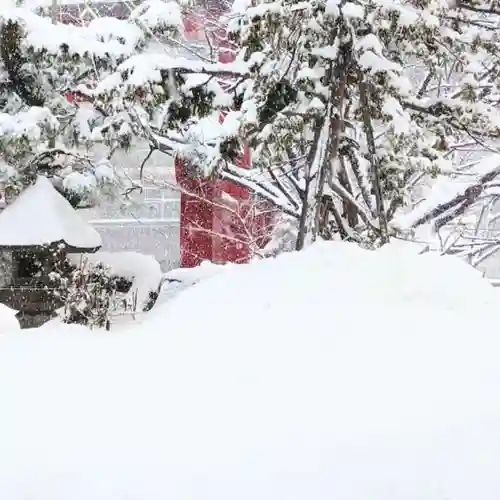 彌彦神社　(伊夜日子神社)の自然