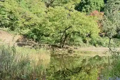 郡殿の池弁財天社(新潟県)