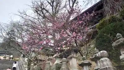 金刀比羅宮(香川県)