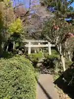 武州白子熊野神社の鳥居