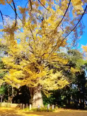赤坂氷川神社(東京都)