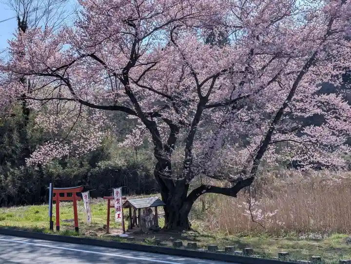宇賀神さま(福島県)