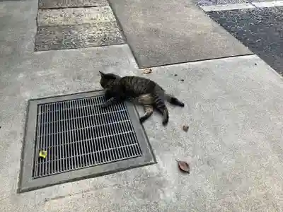 所澤神明社(埼玉県)