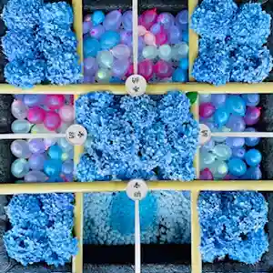 土津神社|こどもと出世の神さま(福島県)(2024年08月07日(水) 08時11分55秒投稿)